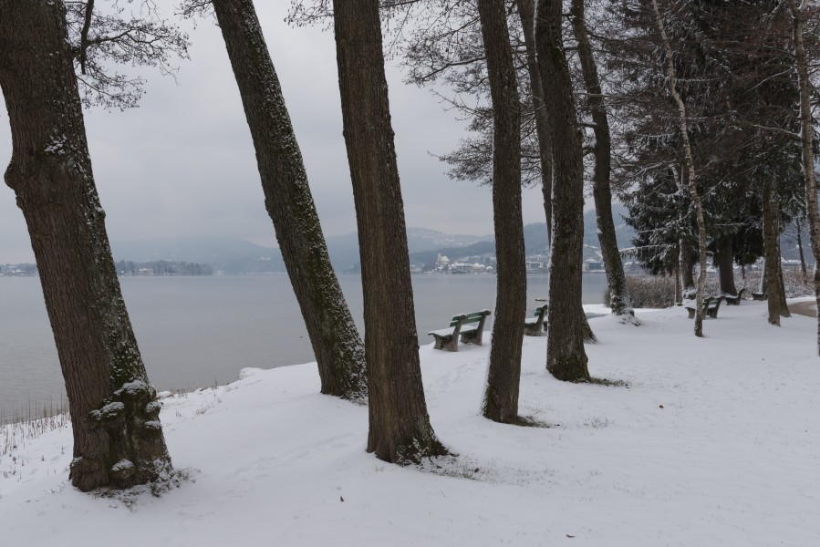 Pörtschach Halbinselpromenade Maria Wörth-Blick 03012016 9937