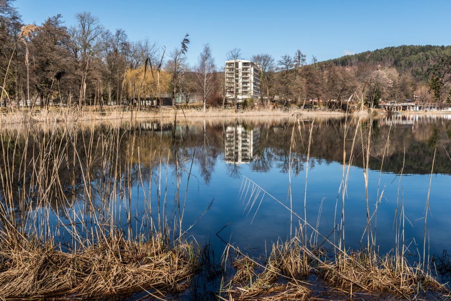 Pörtschach Halbinselpromenade Uferzone mit Schilfrohr 08032017 6490
