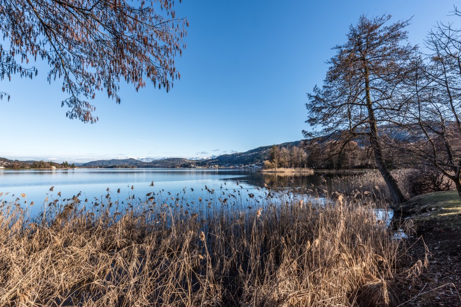 Pörtschach Hans-Pruscha-Weg Blick auf Maria Wörth und Halbinsel 16032018 2693