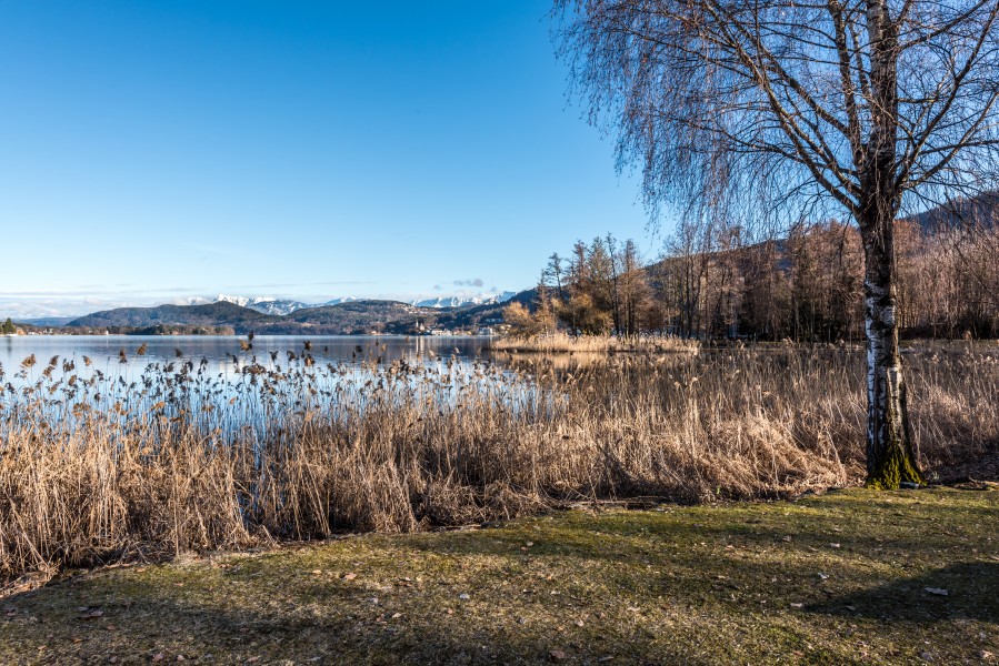 Pörtschach Hans-Pruscha-Weg Seeufer Maria Wörth Blick 16032018 2695