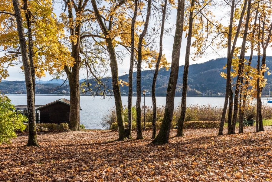 Pörtschach Johannaweg Park Österreichische Wasserrettung 28102017 1756