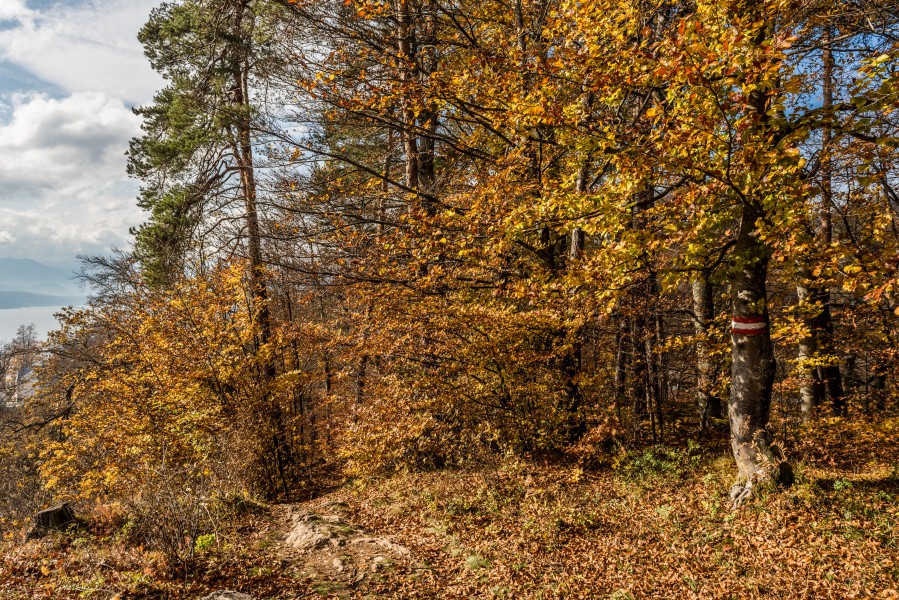 Pörtschach Niedere Gloriette Waldwanderweg 05112017 1888