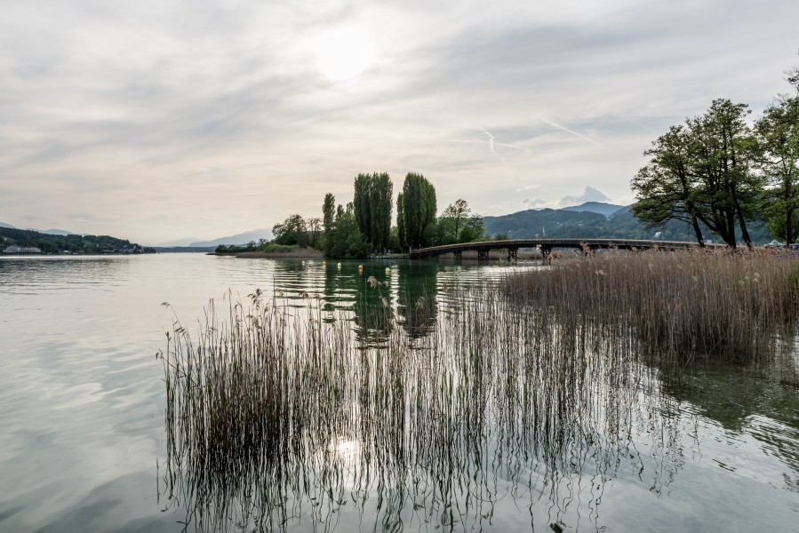 Pörtschach Promenadenbad Blumeninsel mit Pappeln 03052018 3135