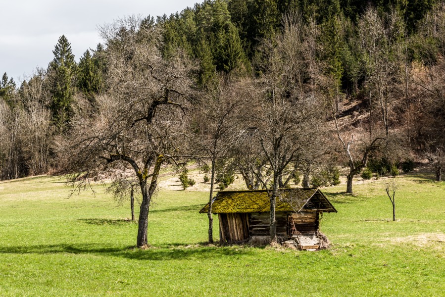 Pörtschach Winklern Am Kåte Dörrkasten in Streuobstwiese 01042018 2811
