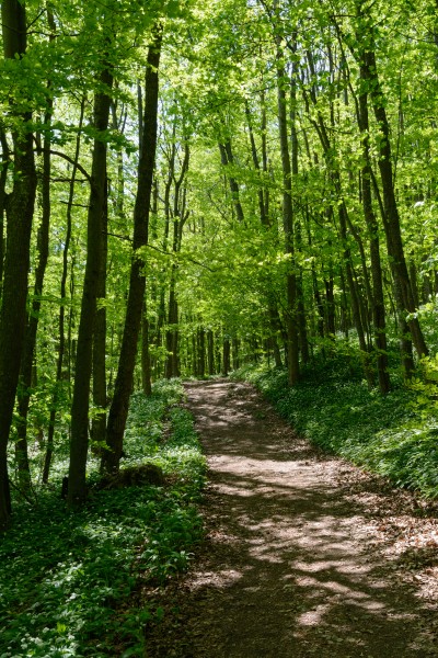 Peilstein Wanderweg 20160507 03