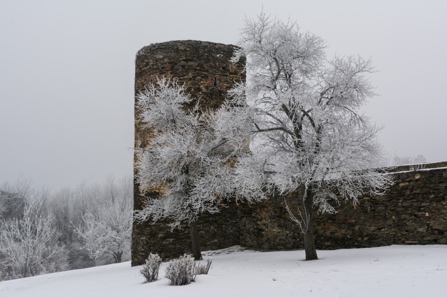 Pernegg Kloster Turm 20170128