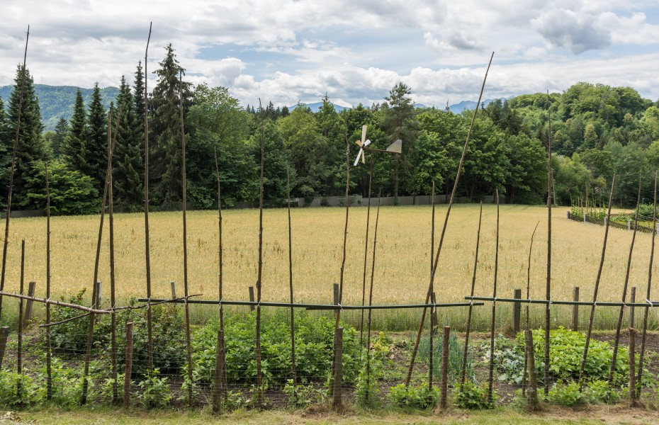 Poertschach Almweg Gemuesegarten 21062015 5050