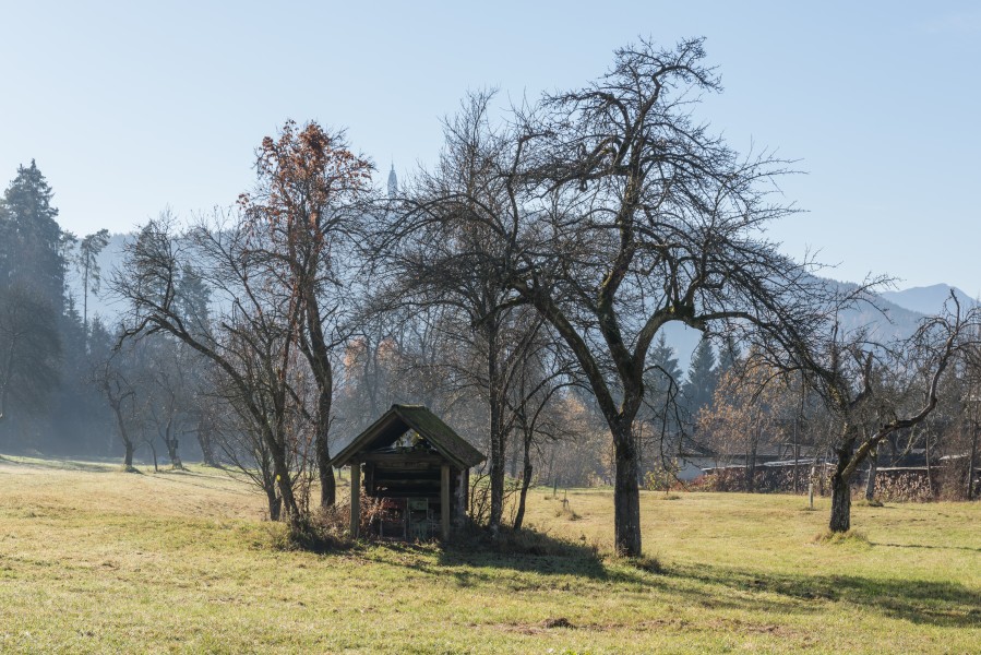 Poertschach Gaisrueckenstrasse Am Kåte Doerrkasten 16112015 9037