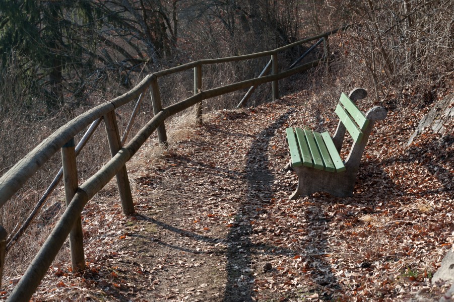 Poertschach Gloriettenweg Waldbank 18022015 7604