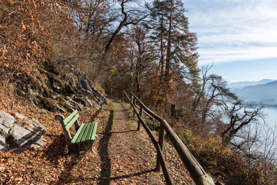 Poertschach Glorietteweg Waldbank 19112015 9203
