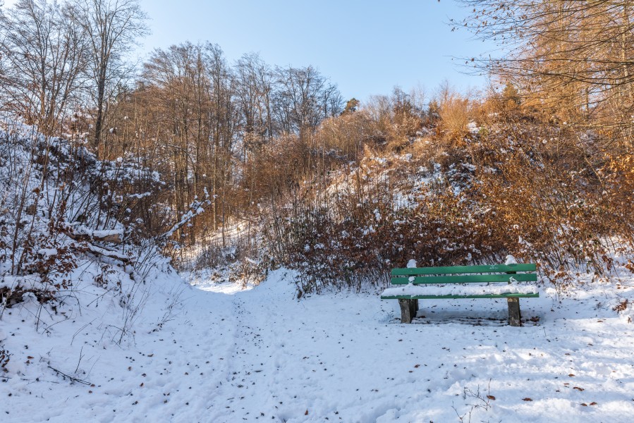 Poertschach Glorietteweg Waldwanderweg Mittelteil Waldbank 21012017 6173