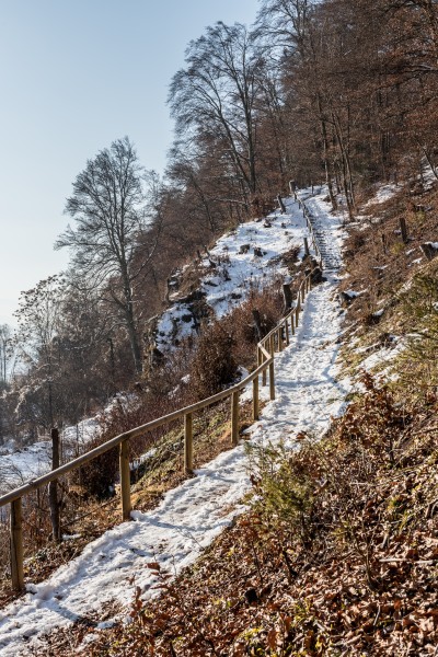 Poertschach Glorietteweg Waldwanderweg Ostteil 21012017 6165