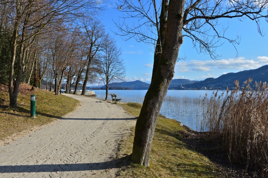 Poertschach Halbinselpromenade Landspitz 19012014 661