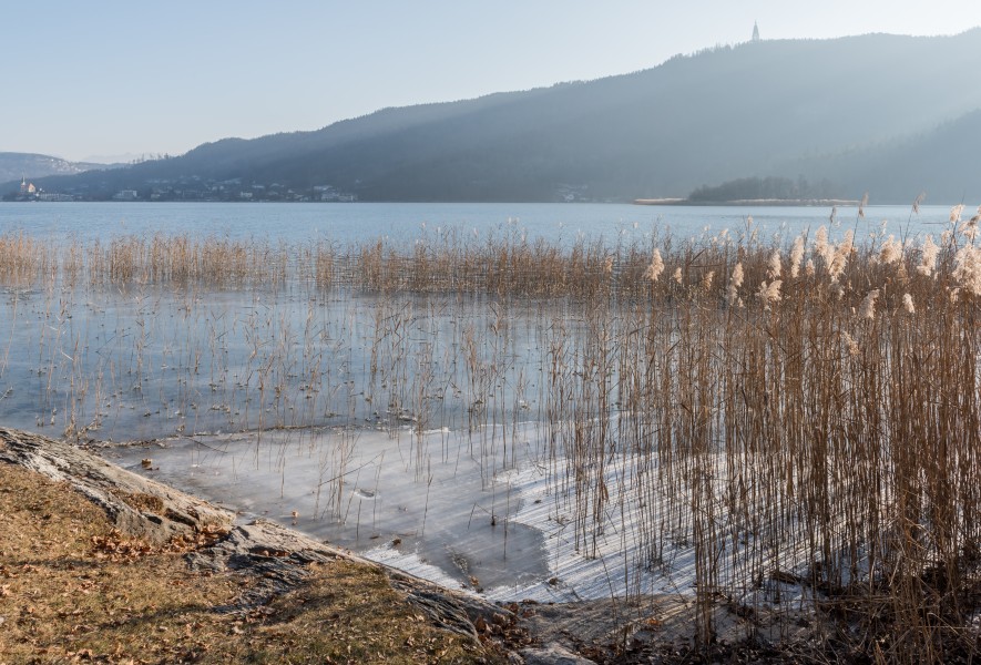 Poertschach Halbinselpromenade Seeblick nach SO 11012017 6013
