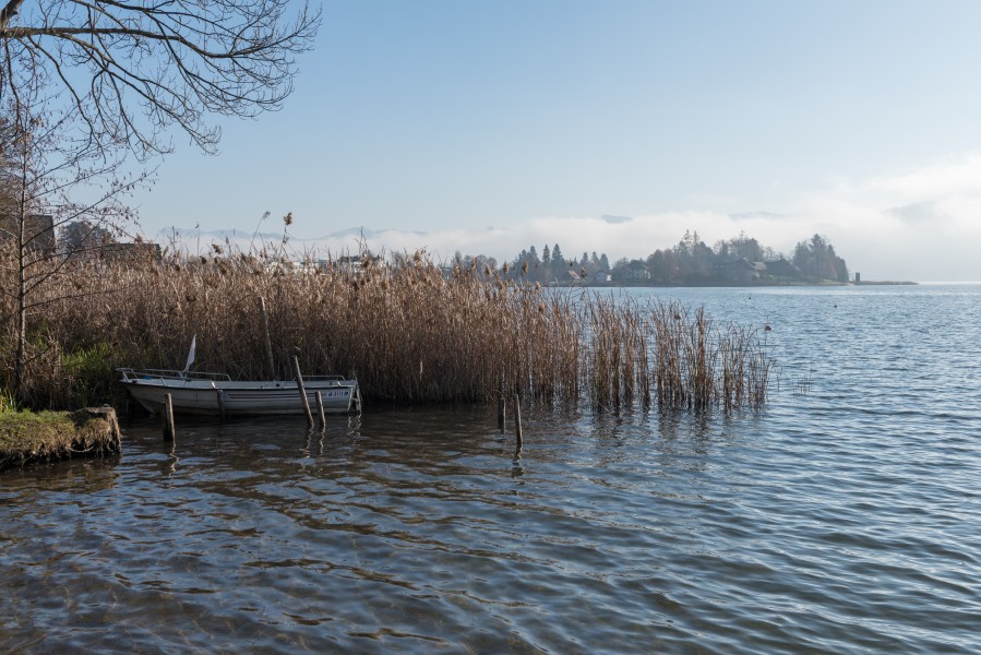 Poertschach Hauptstrasse Edelweiss-Bad Woerther See-Ufer mit Boot und Roehricht 10122015 9493