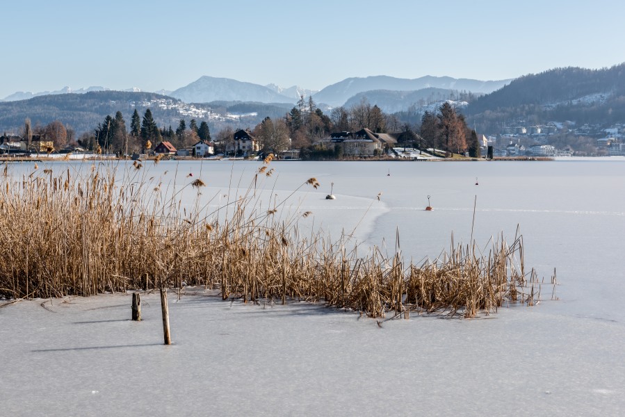 Poertschach Hauptstrasse Edelweiss-Bad Woerther See-Ufer Roehricht 16022017 6291
