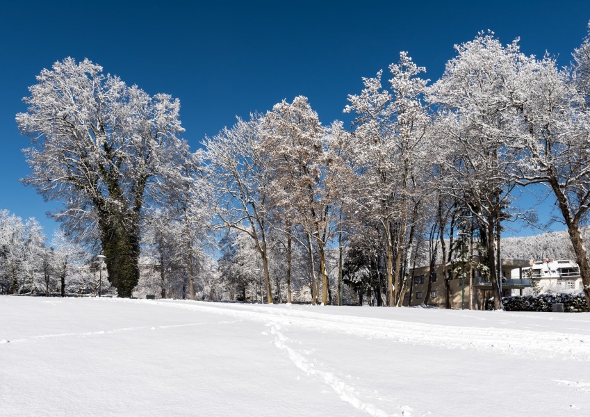 Poertschach Johannaweg winterlicher Park mit Baeumen 14012017 6068