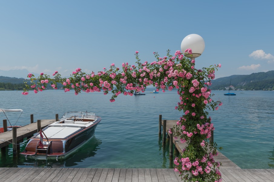 Poertschach Johannes-Brahms-Promenade Motorboot und Kletterrosen 06062015 4482