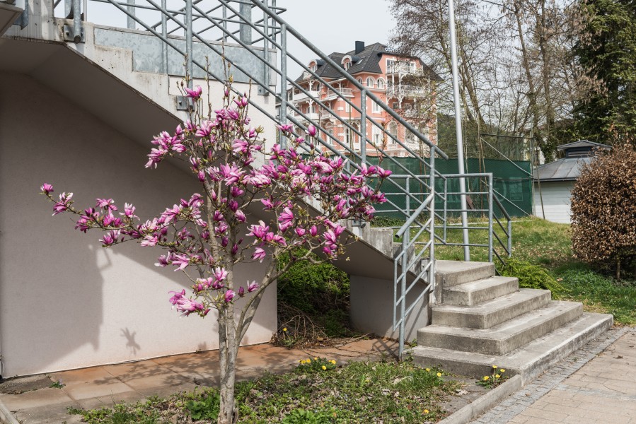 Poertschach Johannes-Brahms-Promenade Tennis Centre Freitreppe 07042016 1191