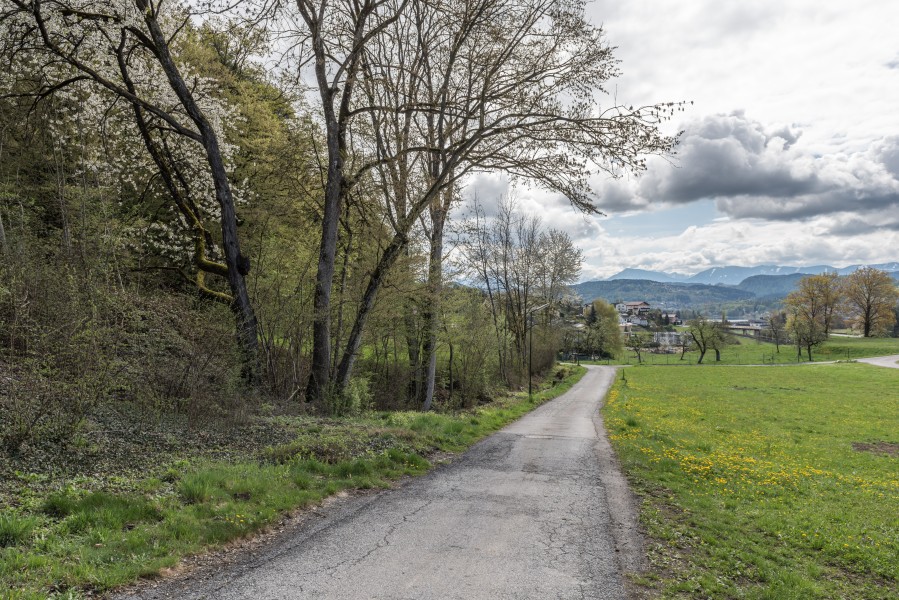 Poertschach Mühlweg mit Goritschach-Blick 10042016 1241