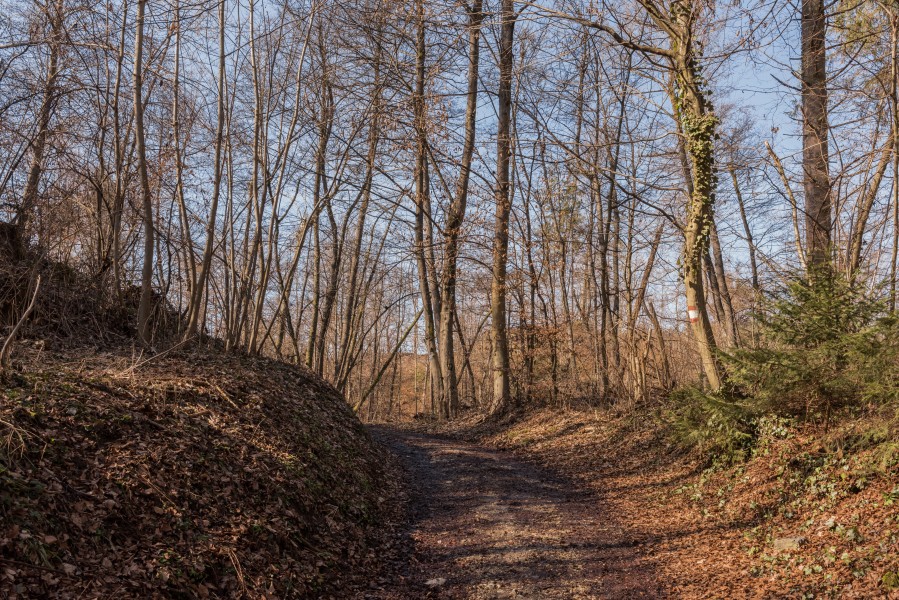 Poertschach Seeburger Weg Ost-Teil 25022017 6341