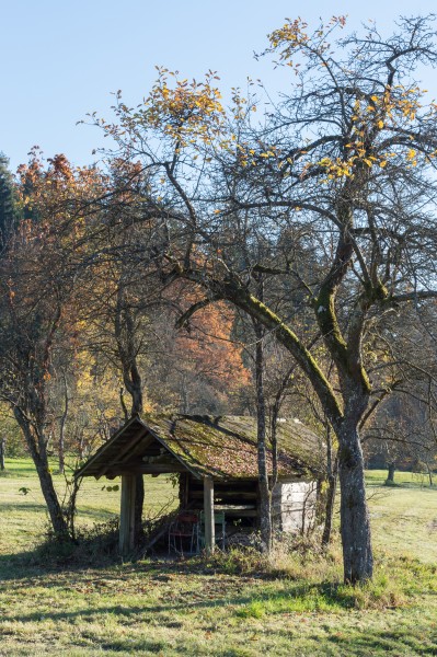 Poertschach Winklern Am Kåte Doerrkasten in Streuobstwiese 05112015 2236