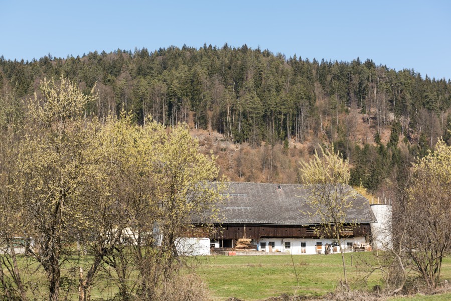 Poertschach Winklern Brockhof Wirtschaftsgebaeude S-Ansicht 20032016 1027