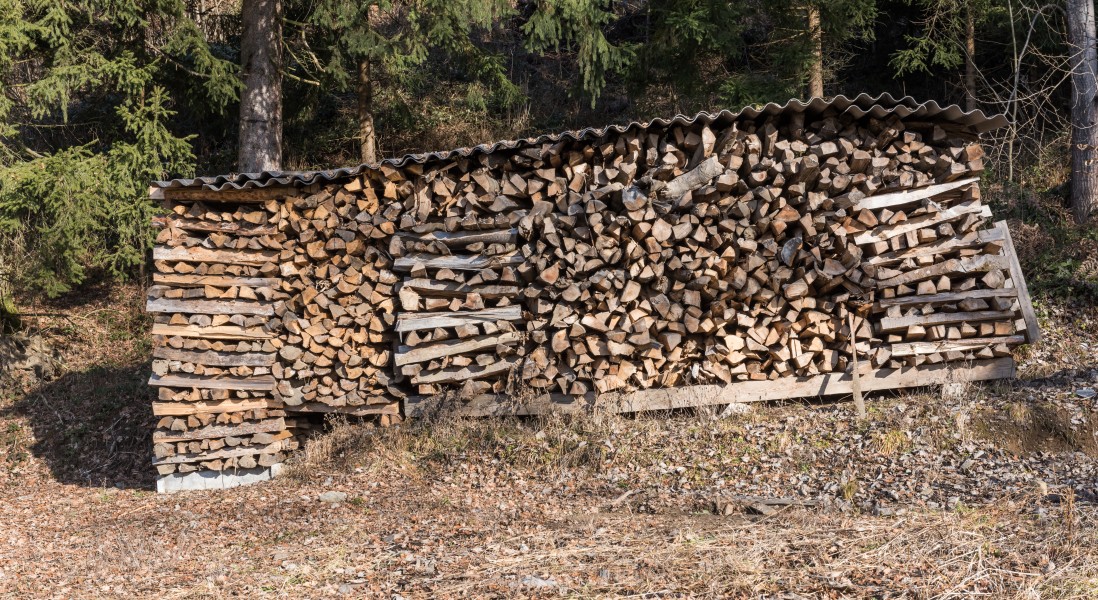 Poertschach Winklern Brockweg Brennholz-Stapel 06022016 0534