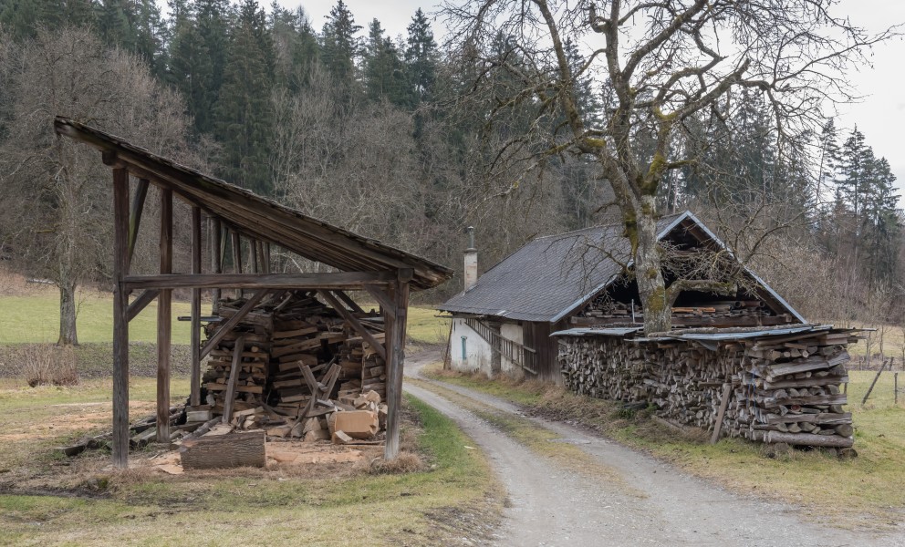 Poertschach Winklern Brockweg Brennholzstapel und alte Schmiede 23022016 0665