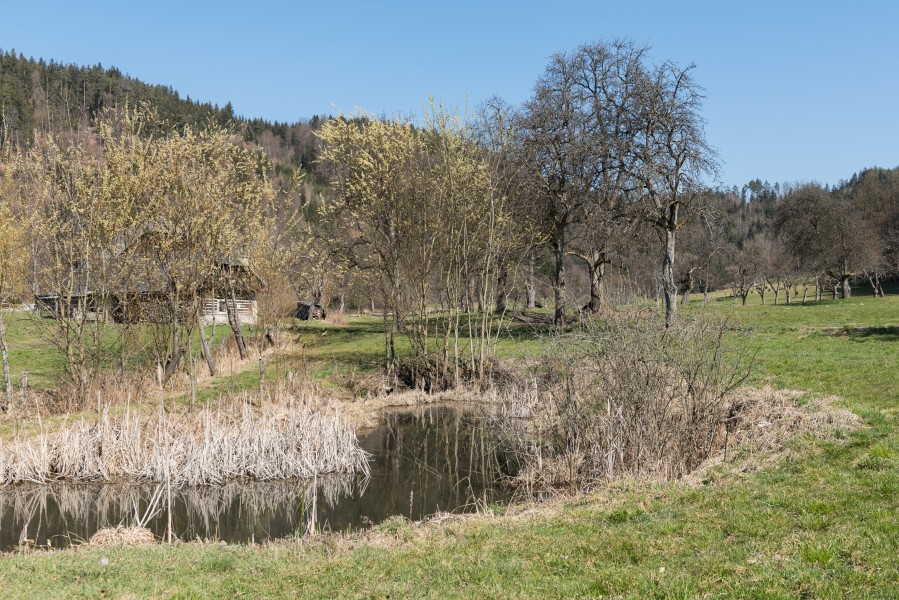 Poertschach Winklern Brockweg Teich am Brockhof 20032016 1028