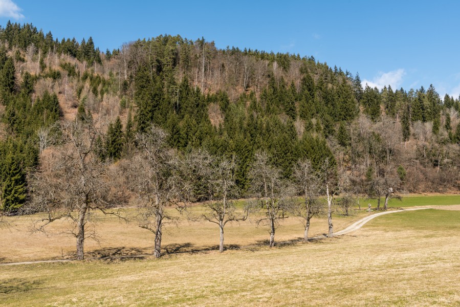 Poertschach Winklern Gaisrueckenstrasse Am Kåte 12032017 6549