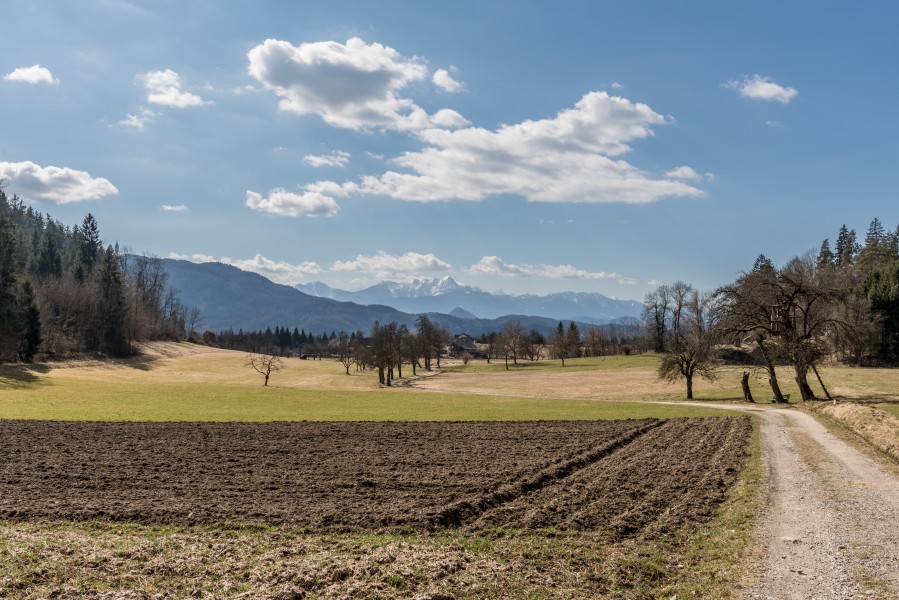 Poertschach Winklern Gaisrueckenstrasse Am Kåte Acker 12032017 6557