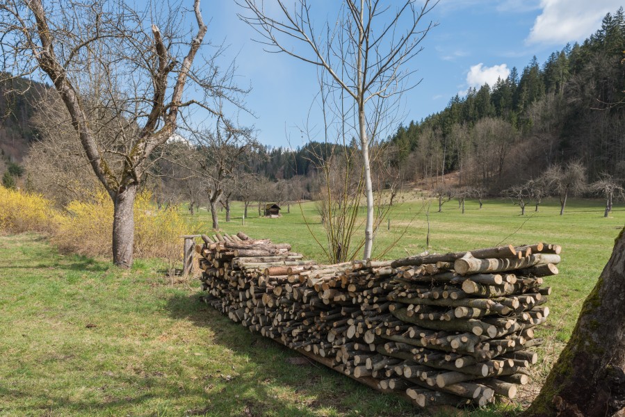 Poertschach Winlern Am Kåte Brennholzstapel vor Streuobstwiese 050420151465