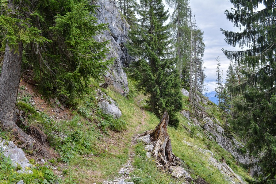 Roßleithen Weg 461 Bärnriedlau