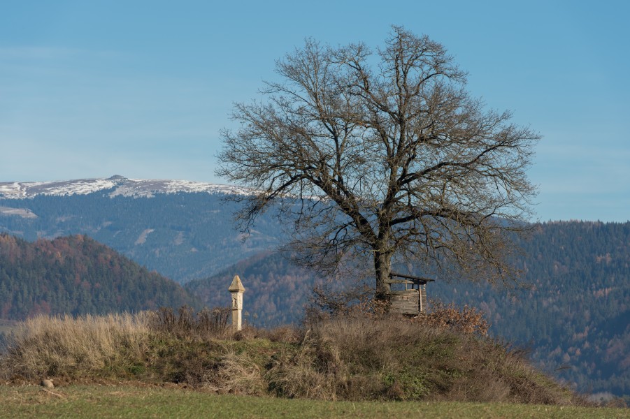 Sankt Georgen am Laengsee Launsdorf Maultaschhuegel 02122015 2421
