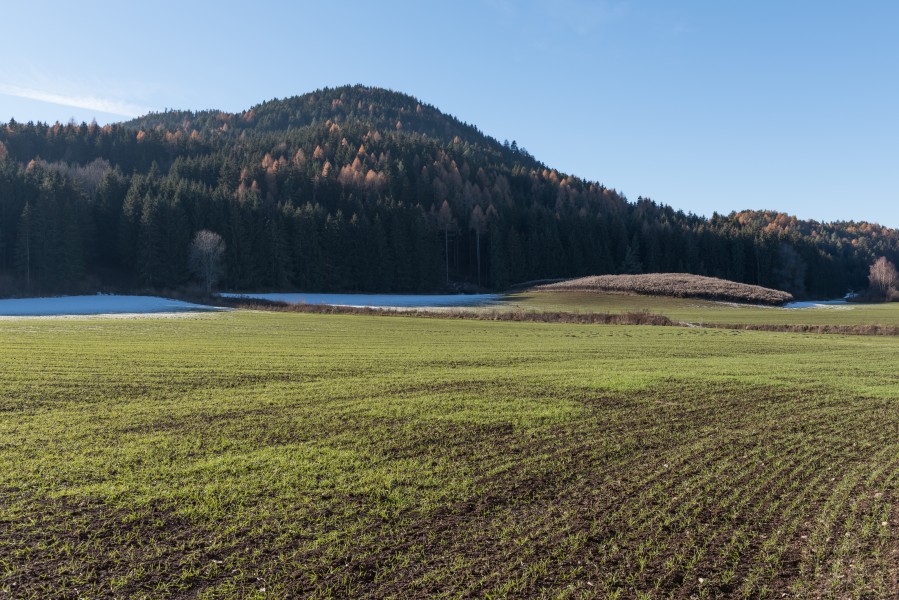 Sankt Georgen am Laengsee Sankt Sebastian Felder und Waelder 02122015 9344