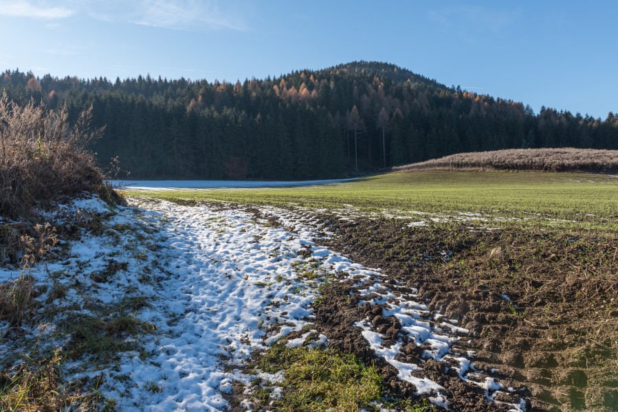 Sankt Georgen am Laengsee Sankt Sebastian Felder und Waelder 02122015 9347