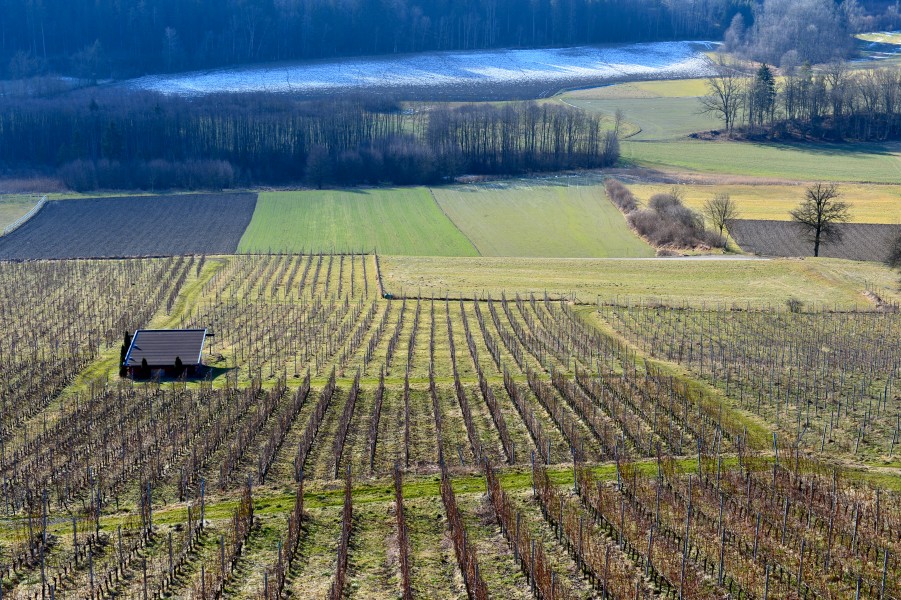 Sankt Peter am Bichl Leiten Weingut Karnburg Rieden 27012015 249