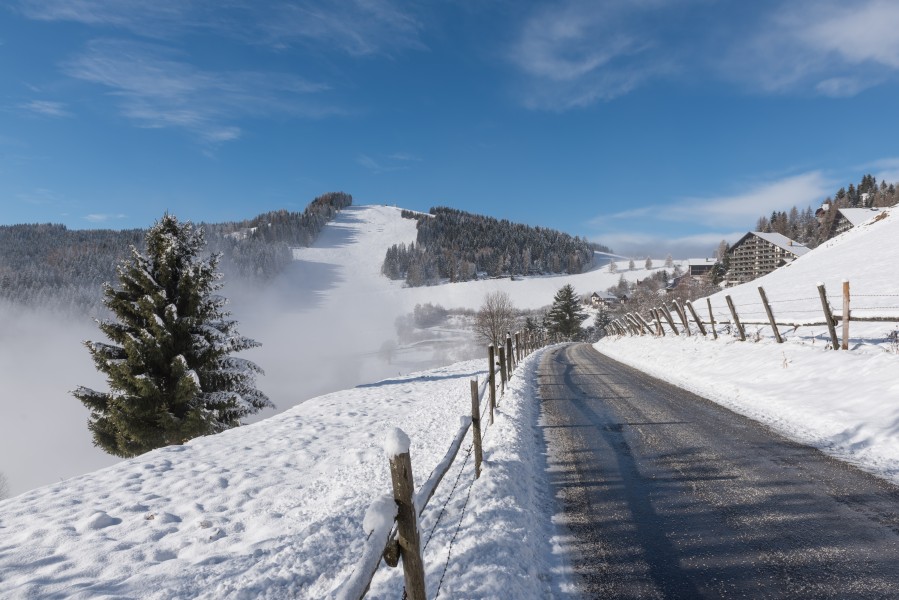 Sankt Urban Retschitz-Simonhoehe Winterlandschaft 12012016 9994