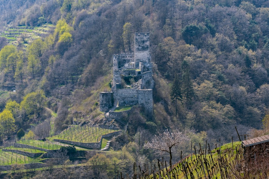 Spitz Burgruine Hinterhaus-2