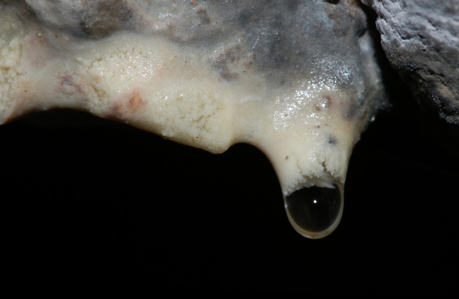 Stalactite drop