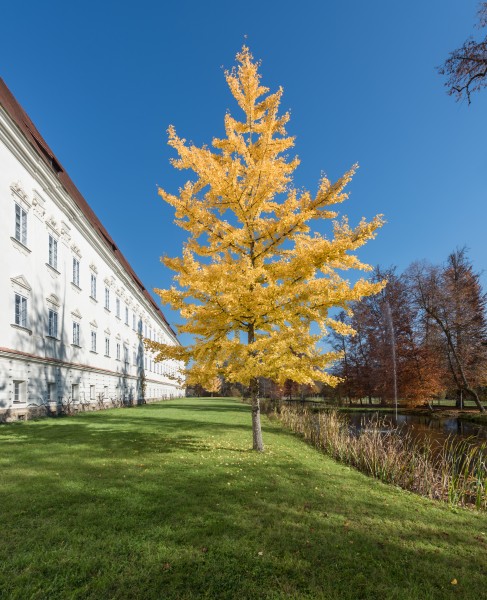 Stift Viktring Sued-Trakt mit Park 01112015 8587
