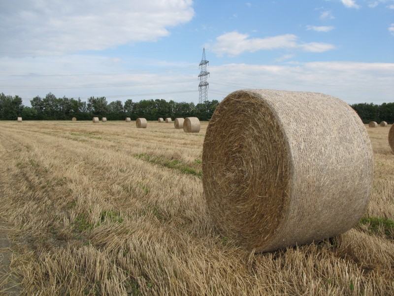 Strohballen neben einer Hochspannungsleitung