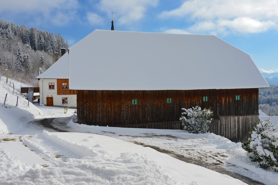 Techelsberg Sankt Martin Pfarrstadel 31012015 735