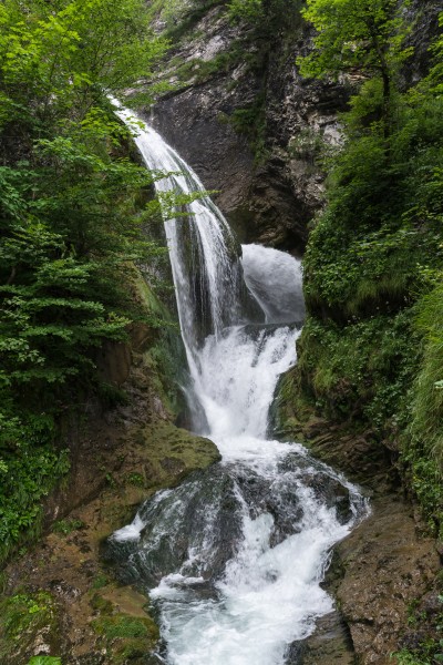 Trefflingfall 20160716 02