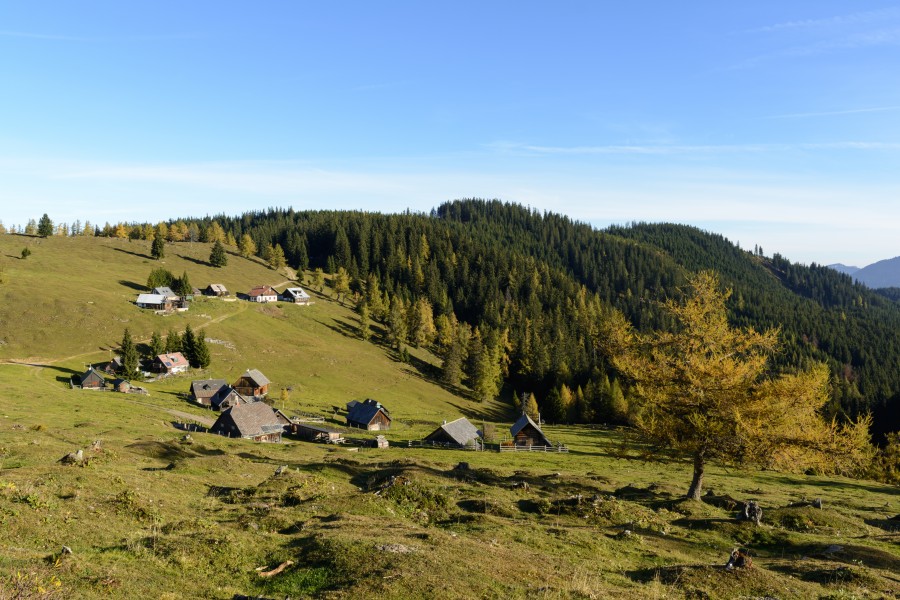 Turnau Göriacher Alm 01