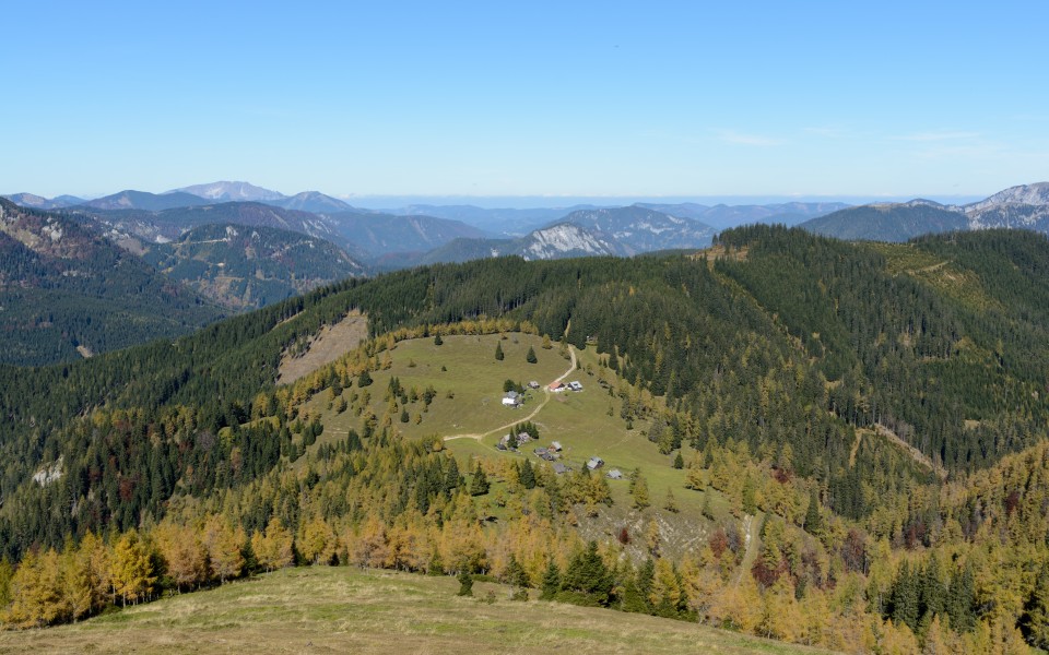 Turnau Göriacher Alm 03