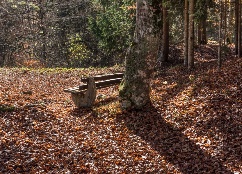 Velden am Wörther See Köstenberg Waldbank an der Burgruine Hohenwart 08112018 5319