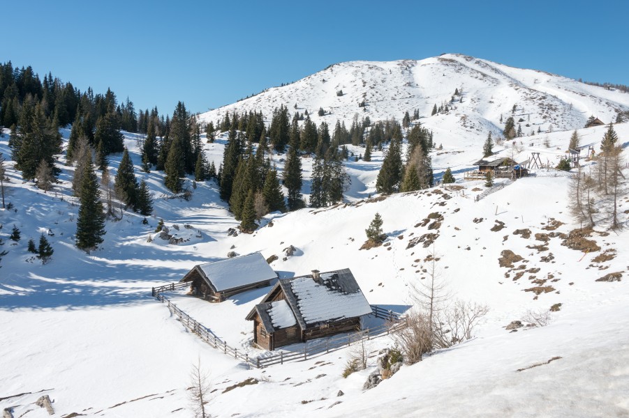 Villach Dobratsch Rosstratte Almhuetten mit Hoehenrain 13022015 9830