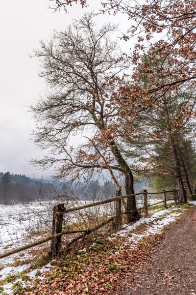 Villach Warmbad Warmbader Straße Wanderweg 22112018 5448